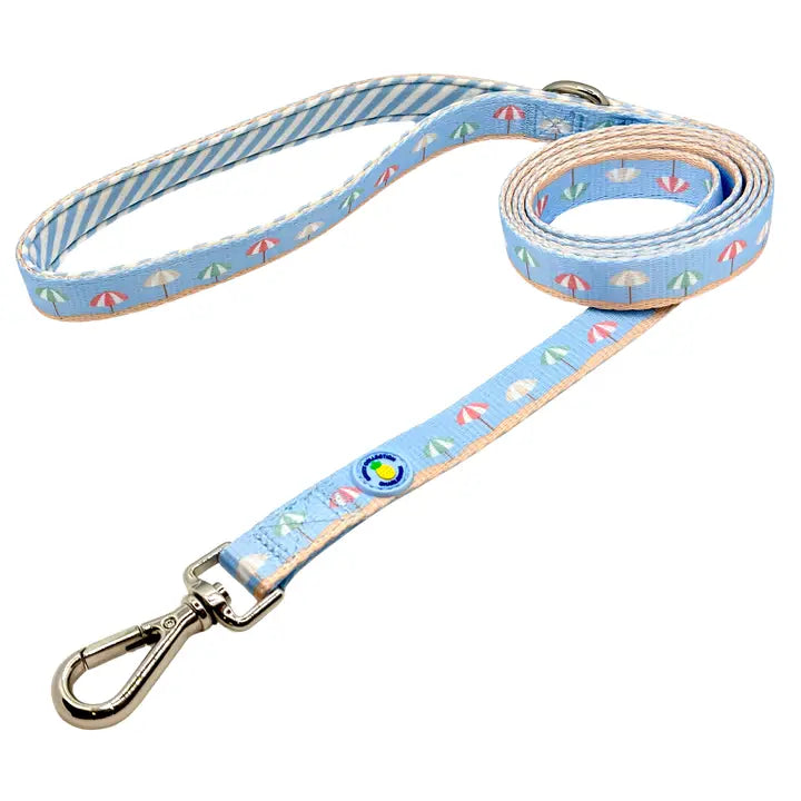 DOG COLLAR/ LEASHES
