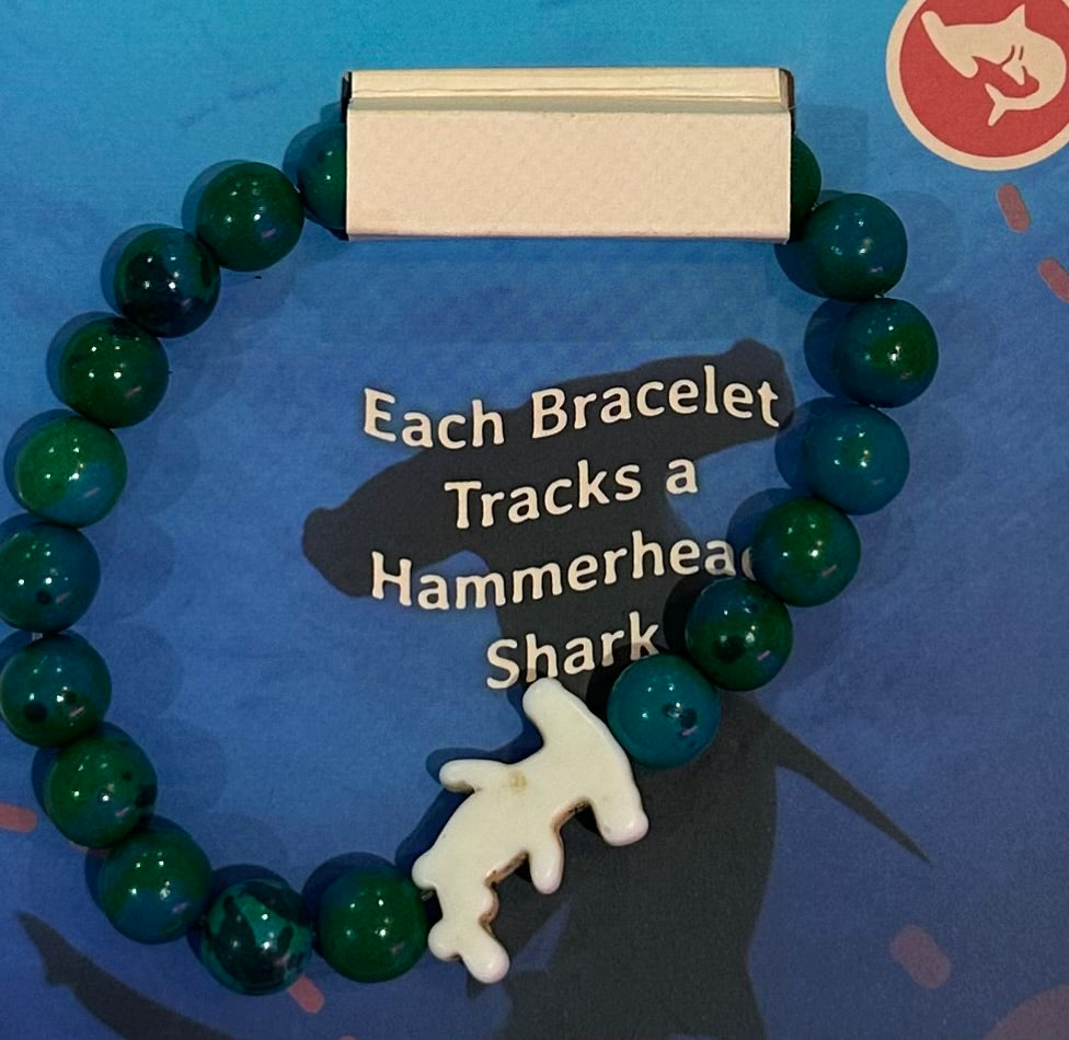 BRACELETS- FAHLO TRACKING