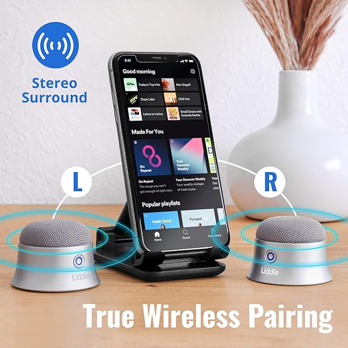 LIDDLE MAGNETIC SPEAKER