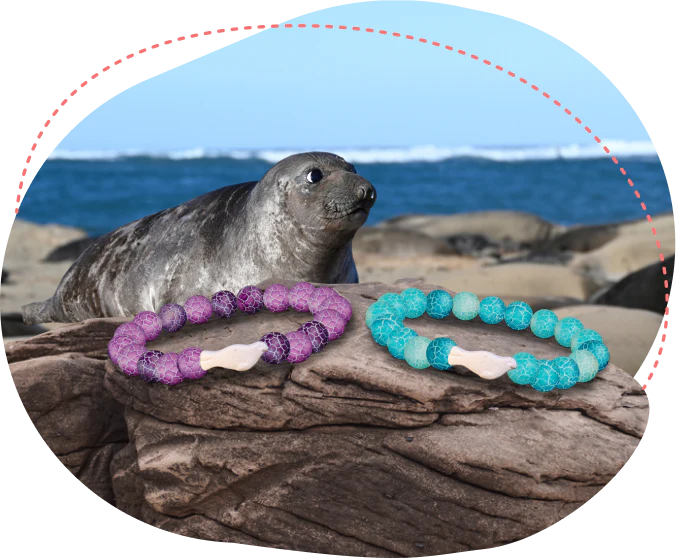 BRACELETS- FAHLO TRACKING