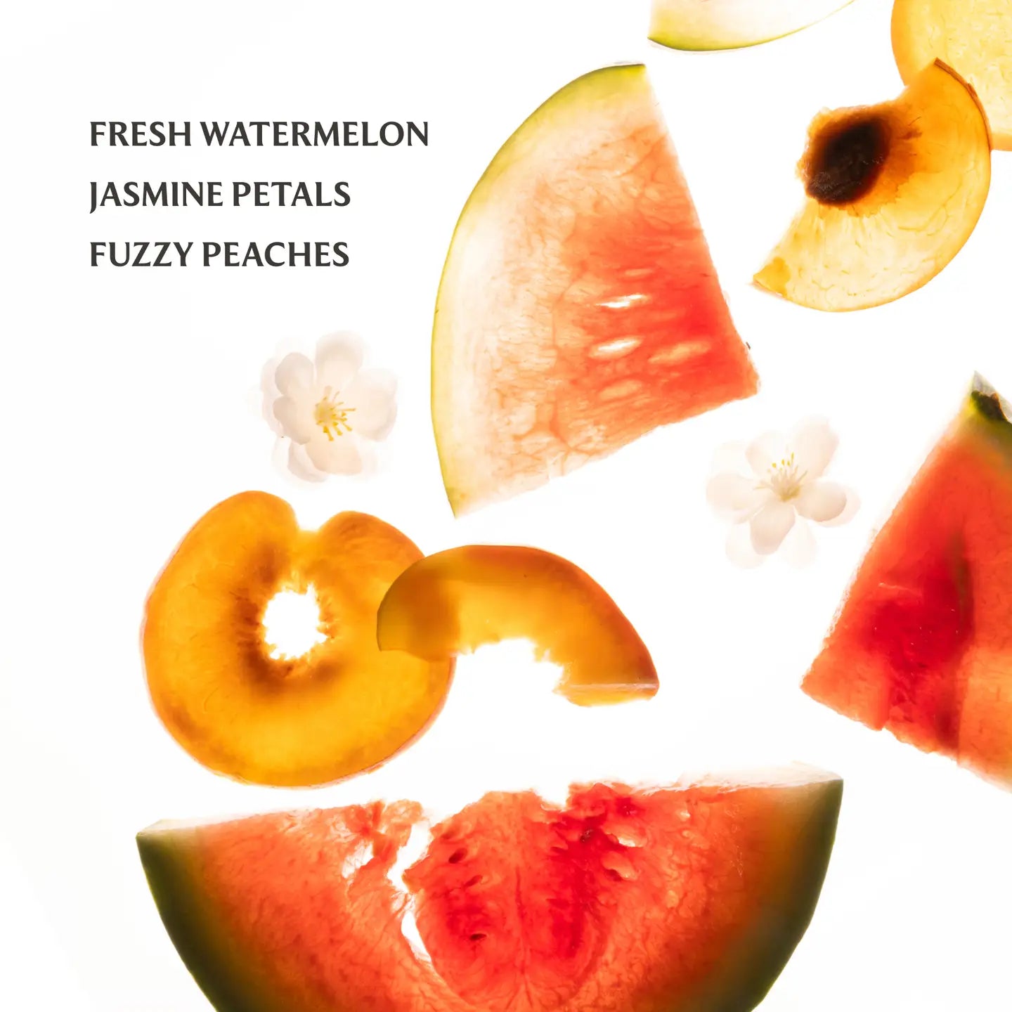 TOUCHLAND HAND SANITIZER