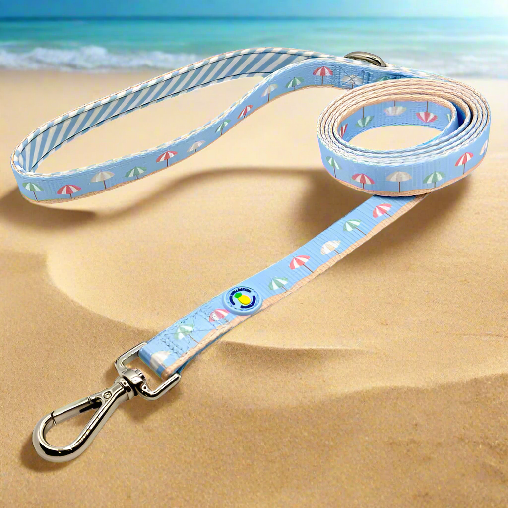 DOG COLLAR/ LEASHES