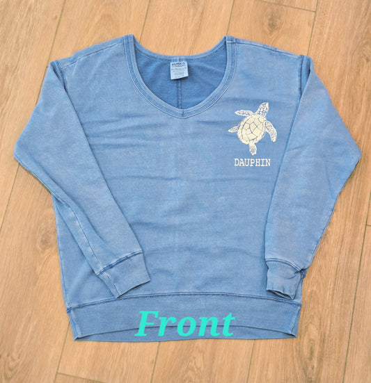 HATCHLING SEA TURTLE V-NECK SWEATSHIRT