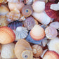 JIGSAW PUZZLES- 1000 PIECE