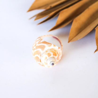 SEA SHELL RINGS