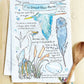 WATERCOLOR  TEA TOWELS