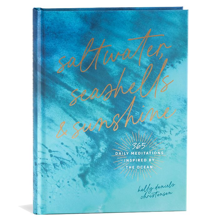 SALTWATER, SEASHELLS & SUNSHINE BOOK BY HOLLY DANIELS CHRISTENSEN