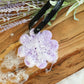 SPONGELLE WILDFLOWER SOAP SPONGES