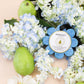 SPONGELLE WILDFLOWER SOAP SPONGES