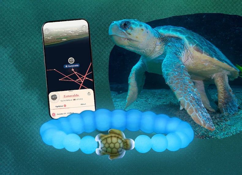 BRACELETS- FAHLO TRACKING