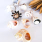 SEA SHELL RINGS