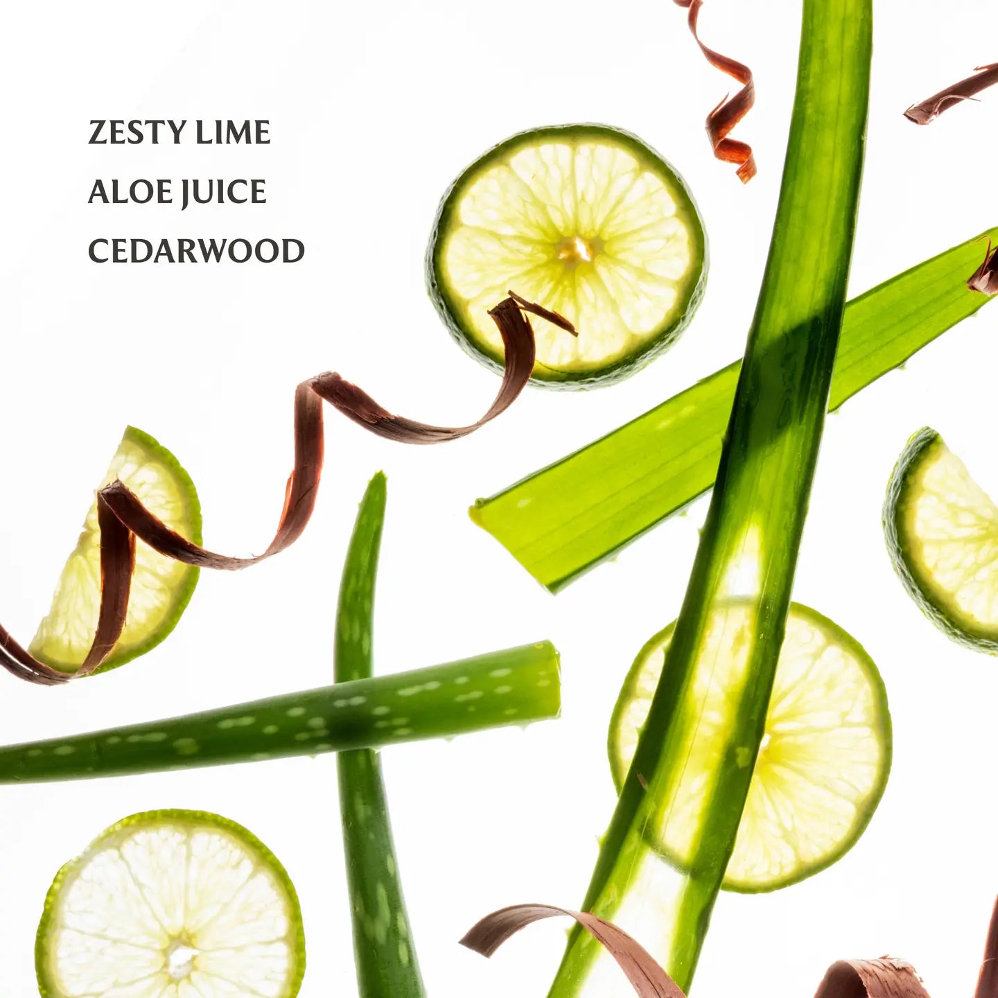 TOUCHLAND HAND SANITIZER