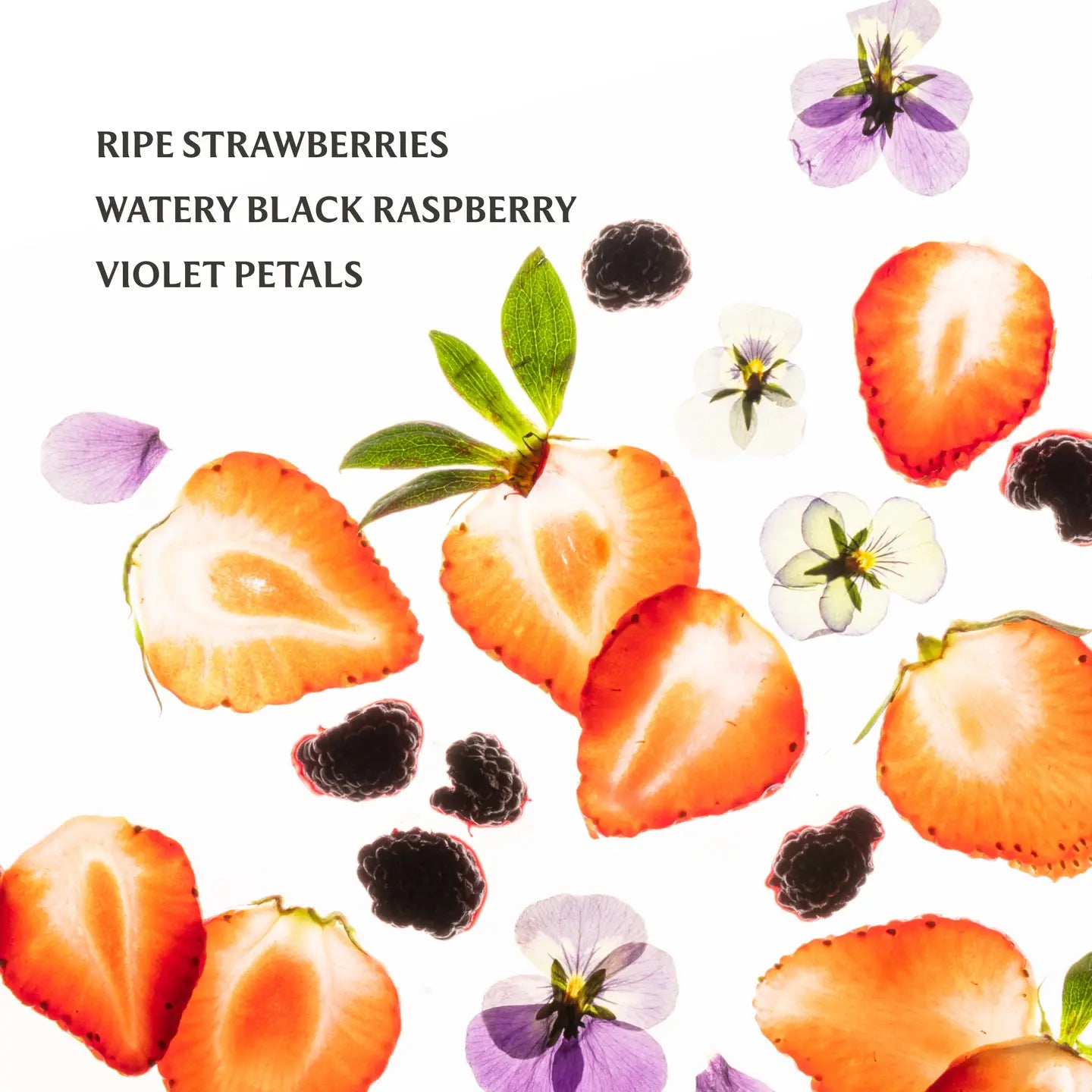 TOUCHLAND HAND SANITIZER