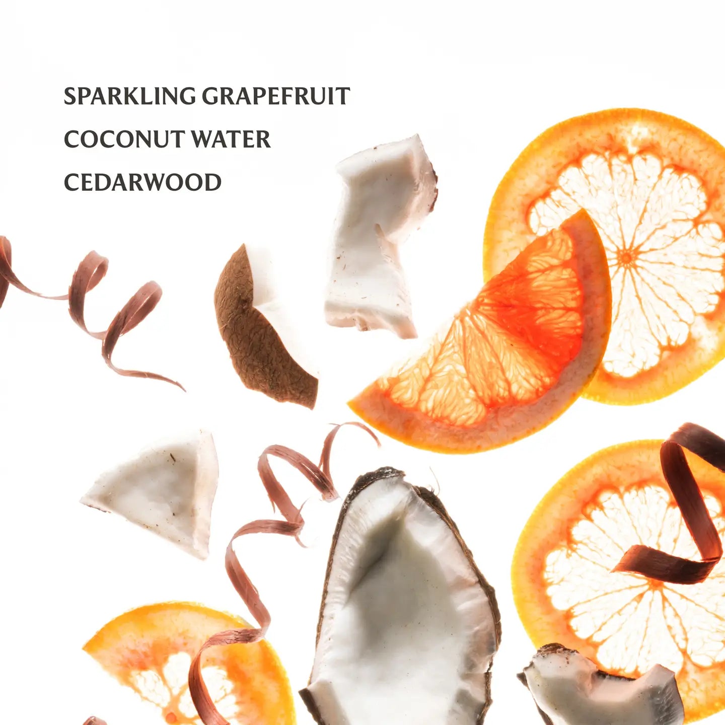 TOUCHLAND HAND SANITIZER