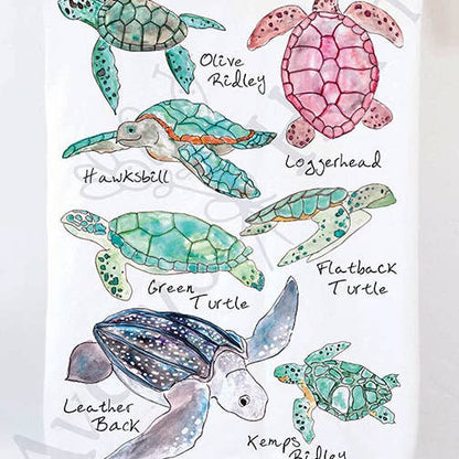 WATERCOLOR  TEA TOWELS