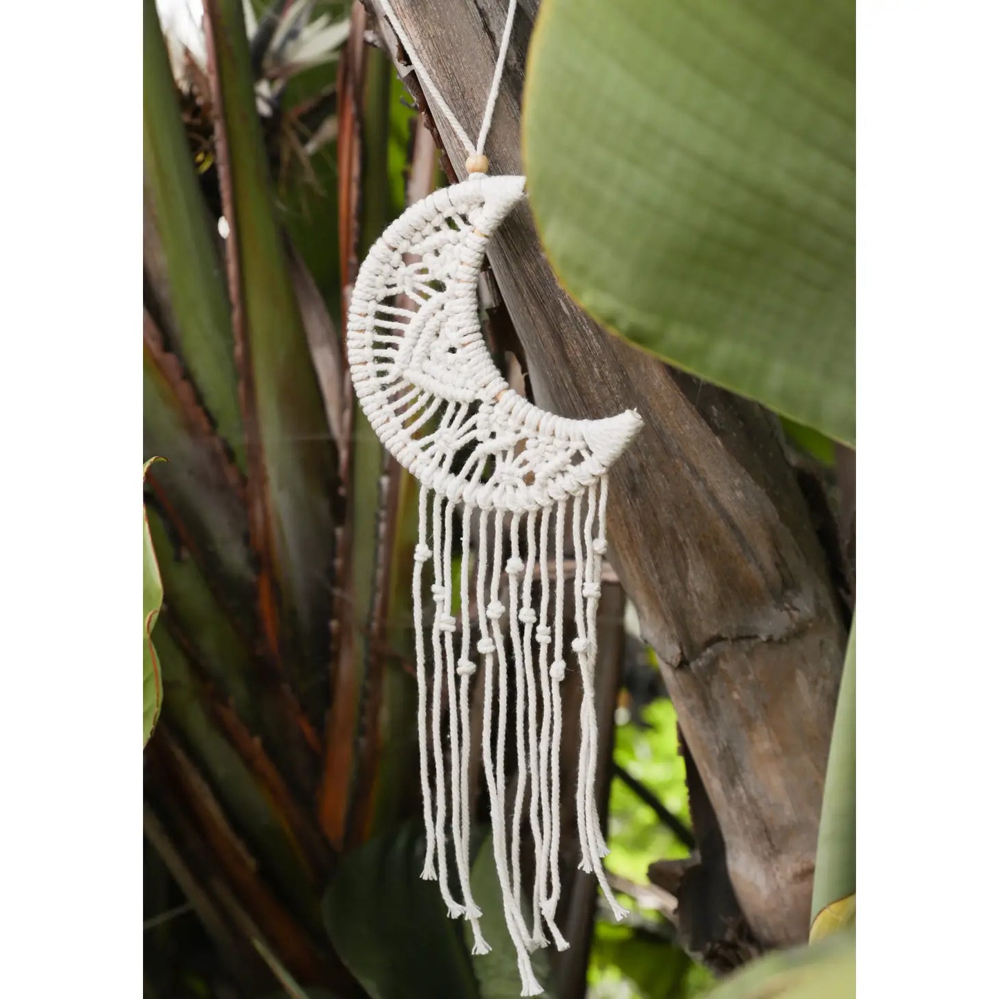 MACRAME DREAMCATCHERS